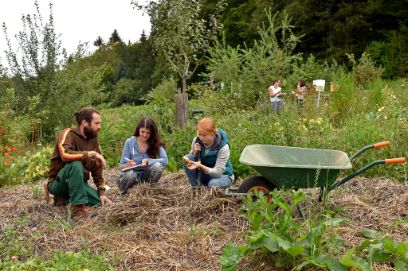 Permakultur, Biodiversität, Bodenmonitoring, Praxisbeispiele, Ausbildung, Waldgarten, Systementwicklung, Baumscheibe, Mandalagarten