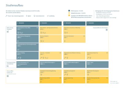 Aufbau Studium MSc Business Administration