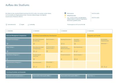 Aufbau Studium MSc Business Administration