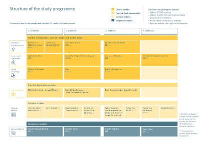 Curriculum: MSc in Digital Business Administration