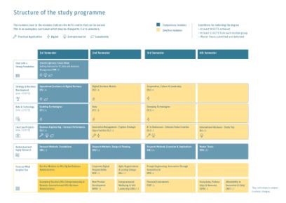 Curriculum: MSc in Digital Business Administration