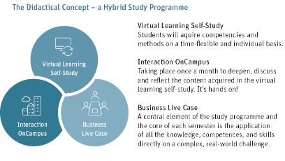 Studienmodell MSc Digital Business Administration