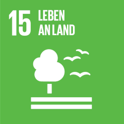 15: Leben an Land