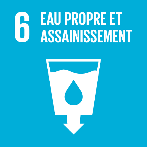 6: Accès à l'eau salubre et l’assainissement