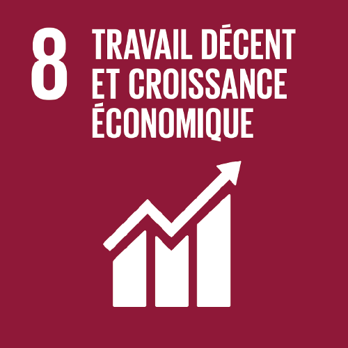 8: Accès à des emplois décents